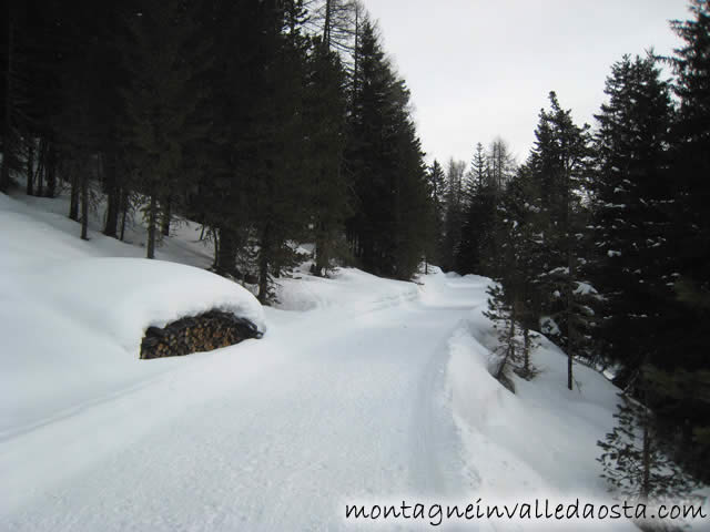 monte muro